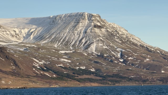 IMG 0301