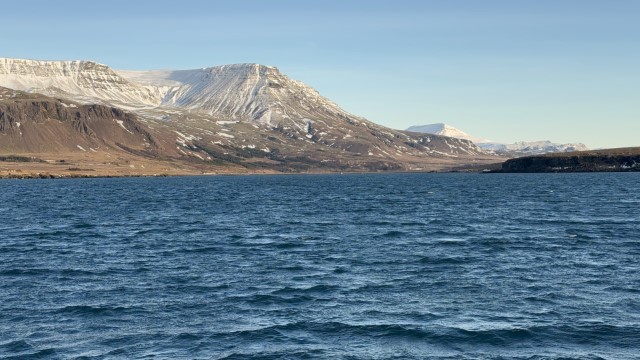 IMG 0302