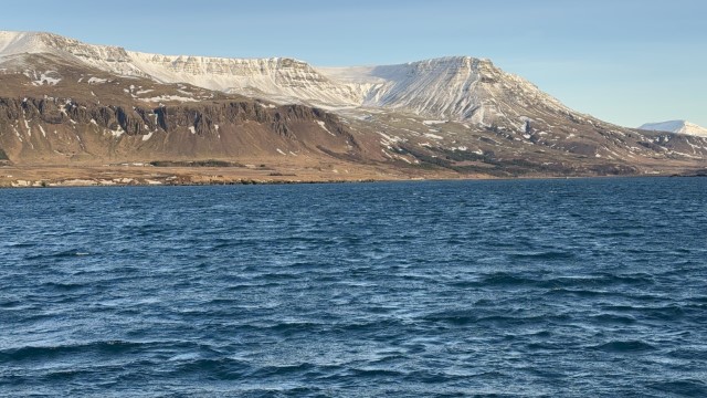 IMG 0303