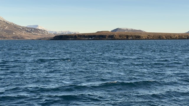 IMG 0327