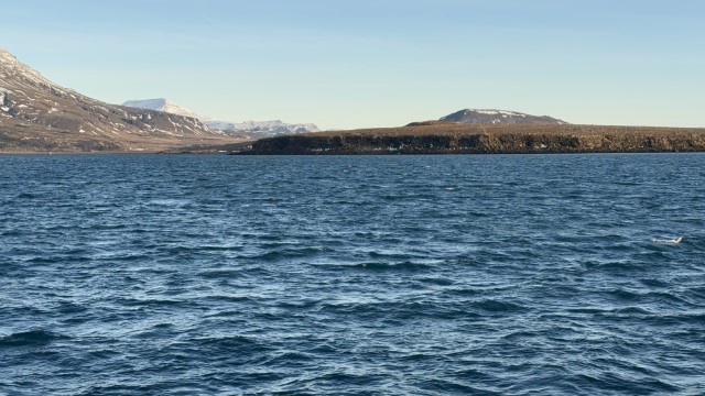 IMG 0328