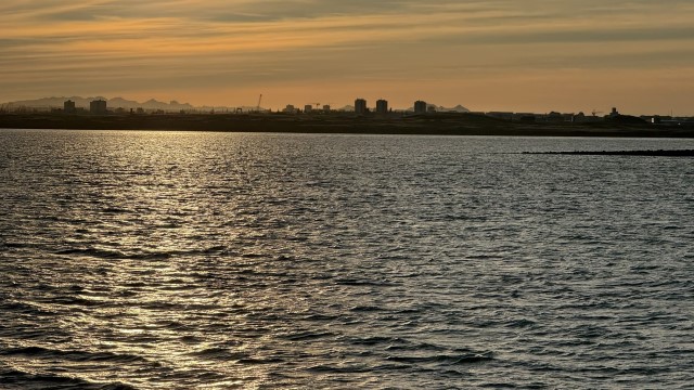 IMG 0339