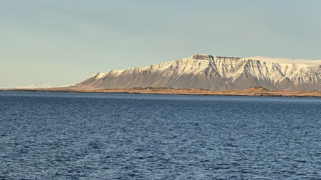 IMG 0347
