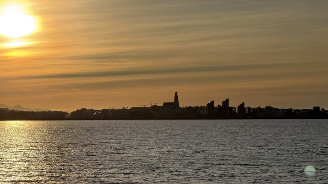 IMG 0350