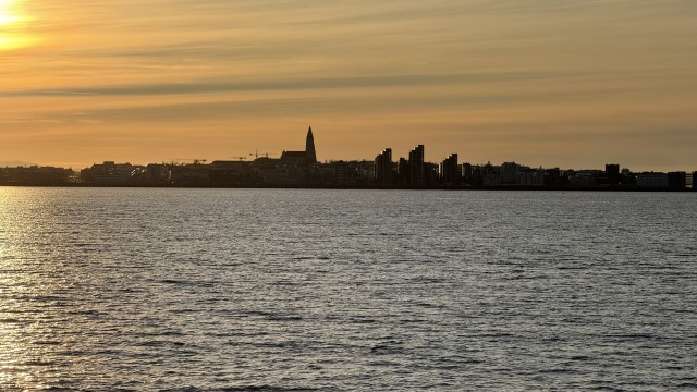 IMG 0353