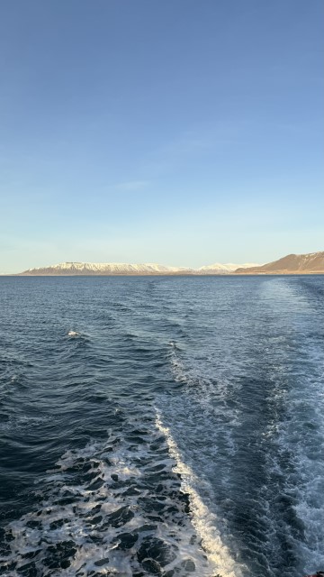 IMG 0355