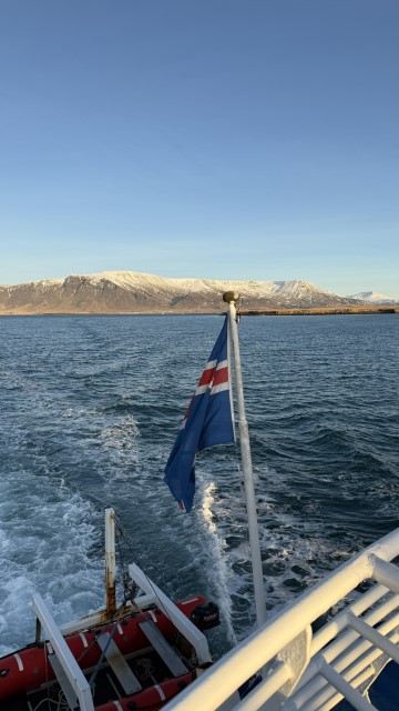 IMG 0356