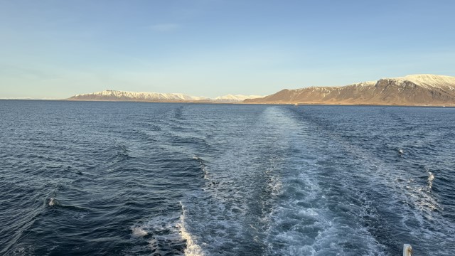 IMG 0358