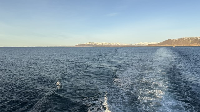 IMG 0361