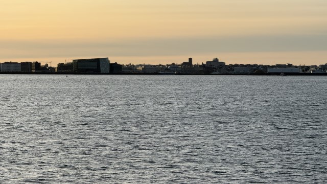 IMG 0363