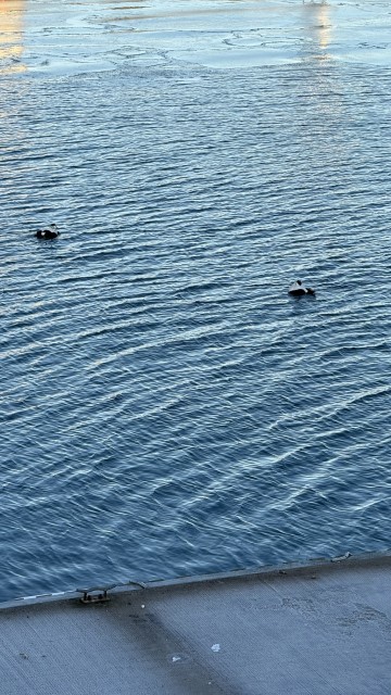 IMG 9989