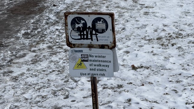 IMG 0955