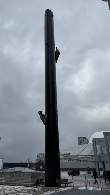 IMG 1083