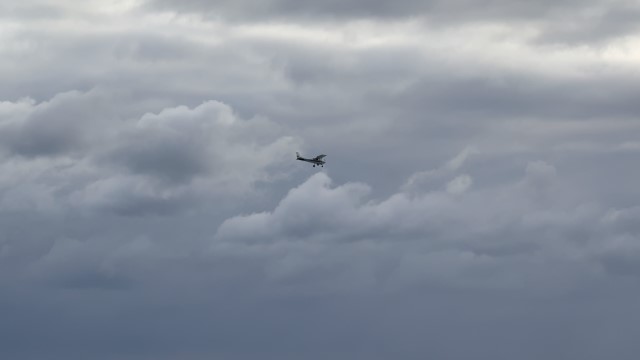 IMG 1173