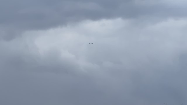 IMG 1184