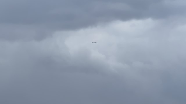 IMG 1185