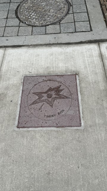 IMG 1878