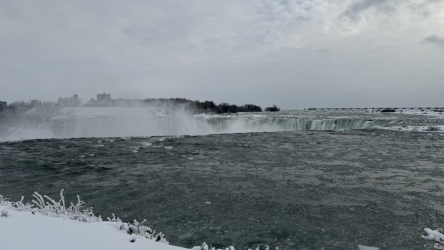IMG 1255