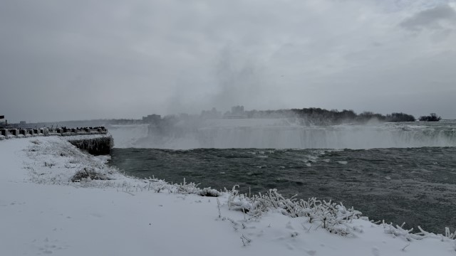 IMG 1262