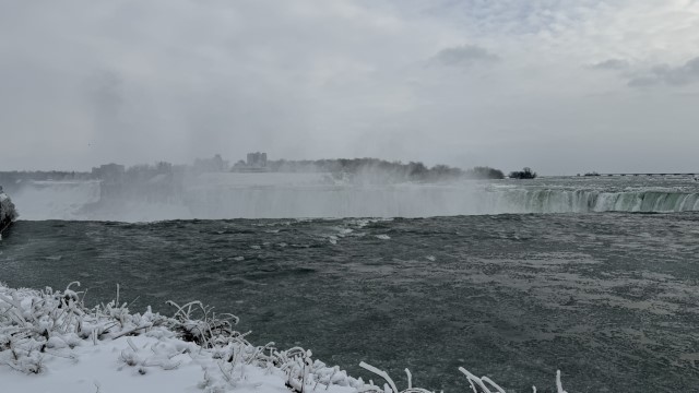 IMG 1263