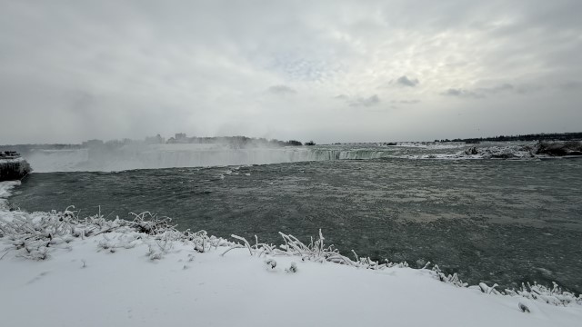 IMG 1264