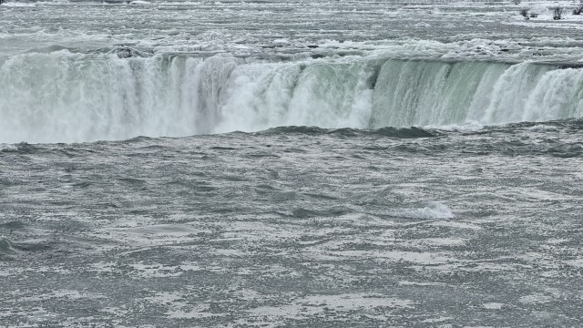 IMG 1271