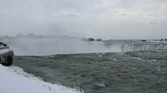 IMG 1278