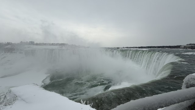 IMG 1291