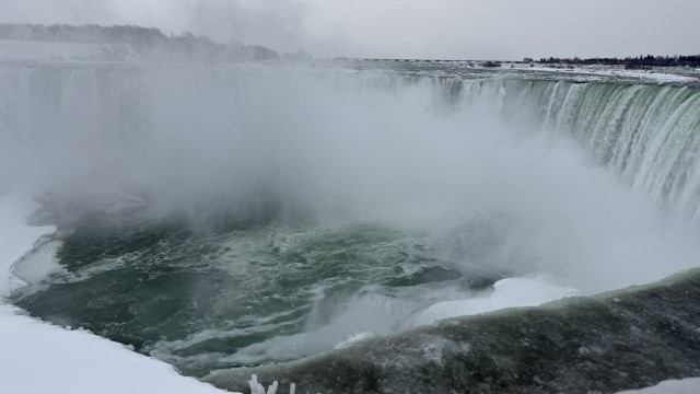 IMG 1293