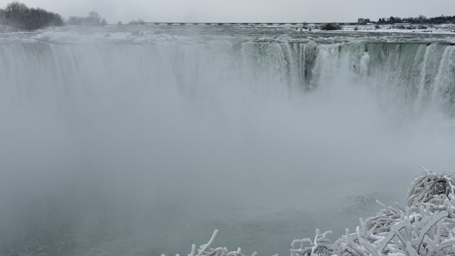 IMG 1305