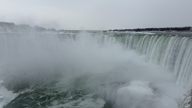 IMG 1308
