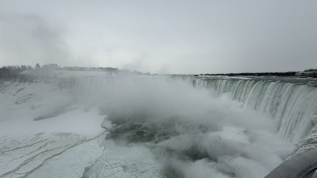 IMG 1318