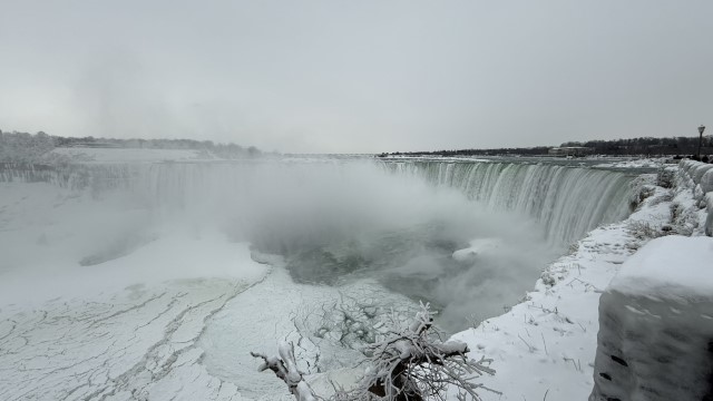IMG 1333