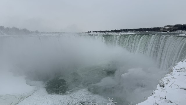 IMG 1334