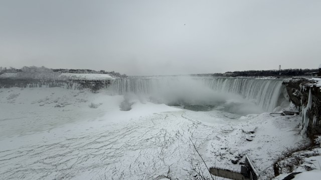 IMG 1352