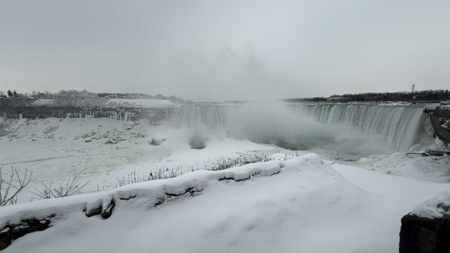 IMG 1354