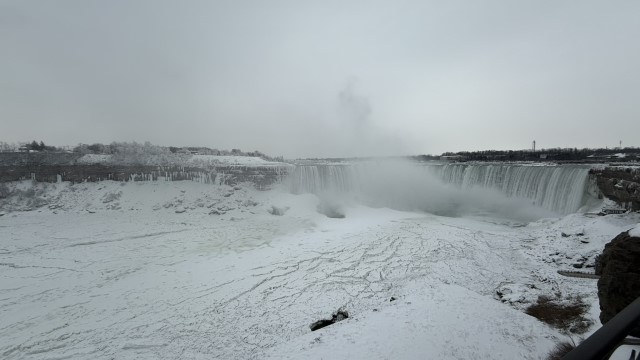 IMG 1358