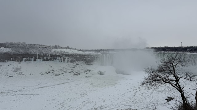 IMG 1377