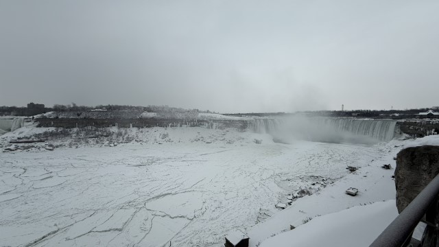 IMG 1390