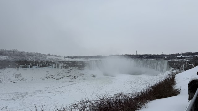 IMG 1401