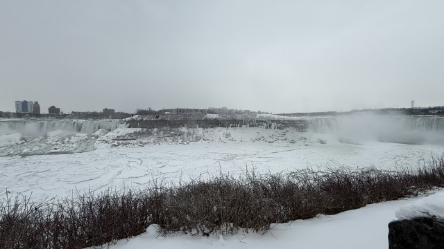 IMG 1402