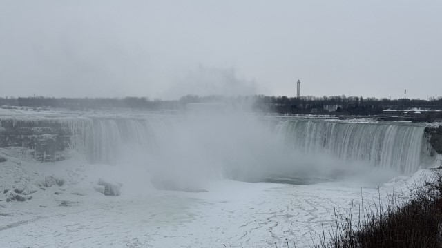 IMG 1406