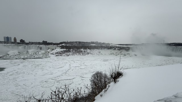 IMG 1411