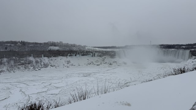 IMG 1424