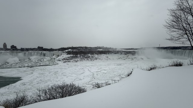 IMG 1429