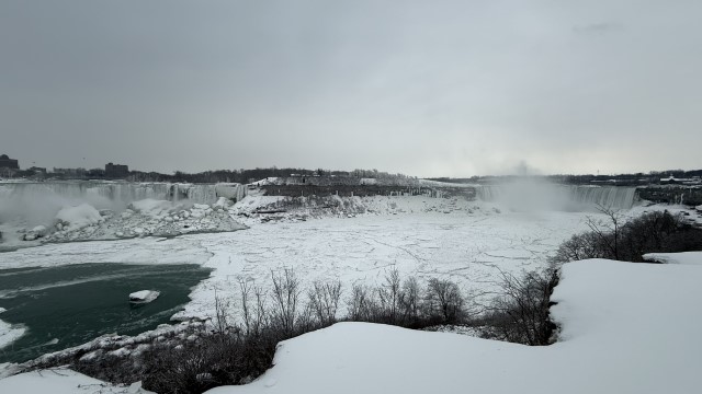 IMG 1456