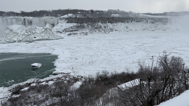 IMG 1459