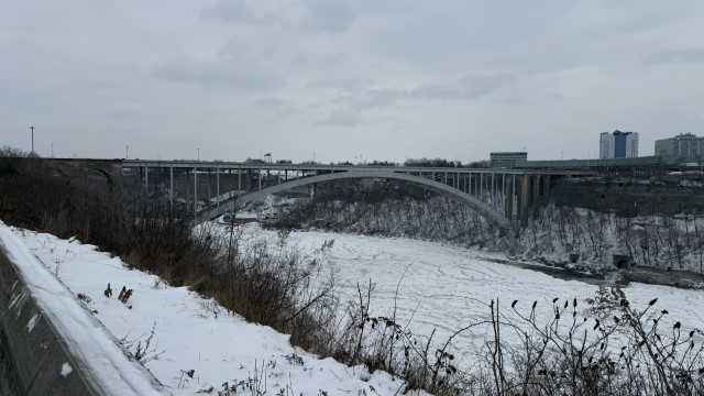 IMG 1489