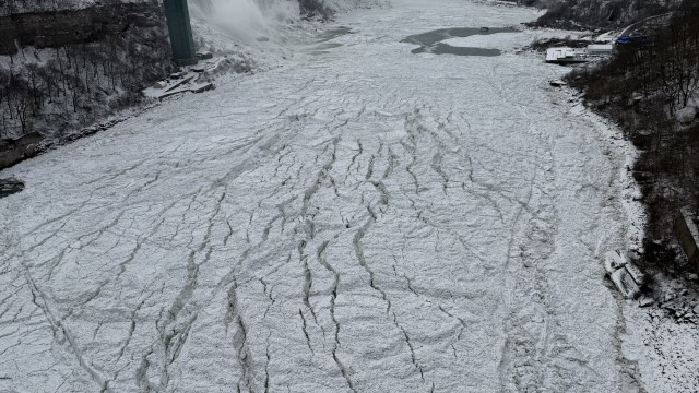 IMG 1512