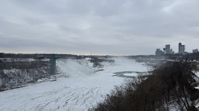 IMG 1529
